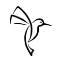 Hummingbird Aircraft logo