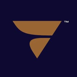 VIVAJETS logo