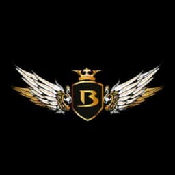 BD HAVACILIK A.Ş. logo