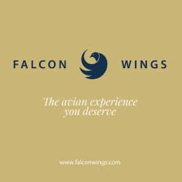 Falcon Wings logo