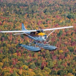 Acadian Seaplanes logo
