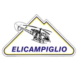 Elicampiglio S.R.L. logo