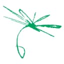 Chapman Freeborn Airchartering logo