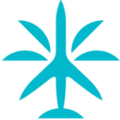 Paradise Jets logo