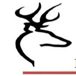 Servicios Aereos Venado logo