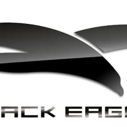 Black Eagle Havacılık A.Ş (Aviation) logo