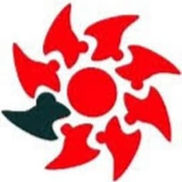 Safe Fly Aviation Services (P) Ltd logo