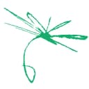 Chapman Freeborn Airchartering (South Africa) PTY Ltd logo