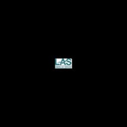 London Air Services logo