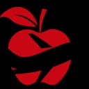 Big Apple Jet - Private Jet Charters logo