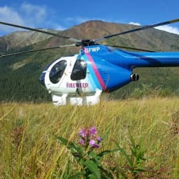 Fireweed Helicopters Ltd. logo