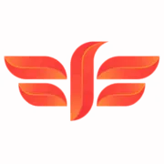 Fly Dheera - Best Charter Jet and Helicopter Service Provider in India logo