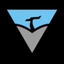 Blue Falcon Aviation Services Ltd logo