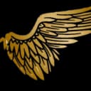 S and C Aviation Ltd logo