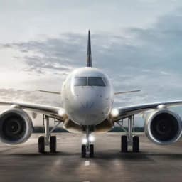 AERO FLY INDIA logo