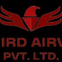 Redbird Airways logo