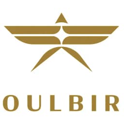 Soulbird Private Jet Charter logo
