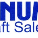 Platinum Aircraft Sales logo