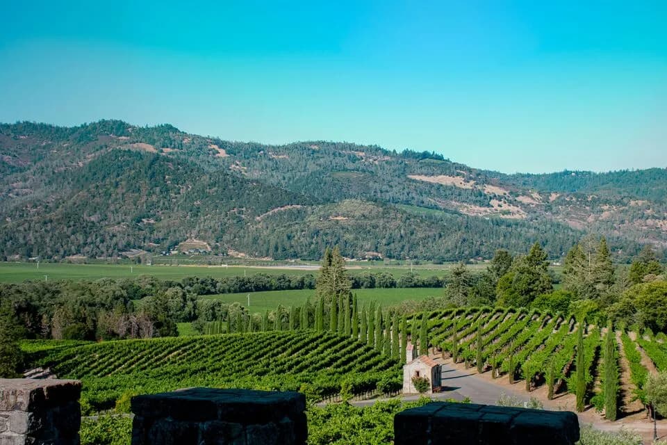 How to Plan Private Jet Travel to Napa Valley