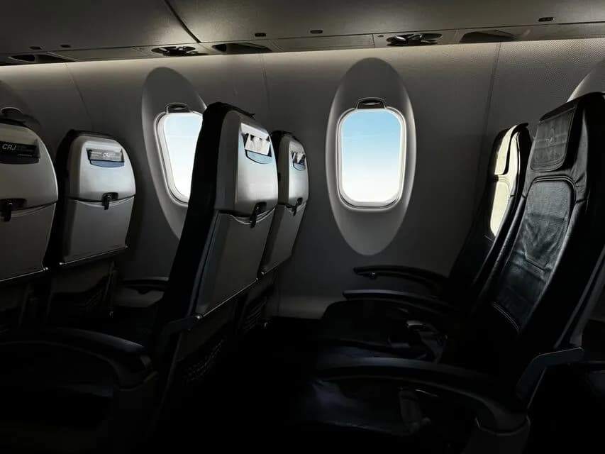 How Private Jet Cabin Pressure and Altitude Affect Traveling Pets