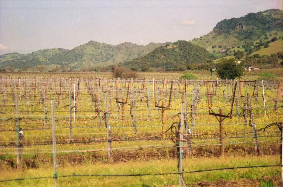 How to Plan a Private Jet Wine Country Tour Beyond Napa Valley