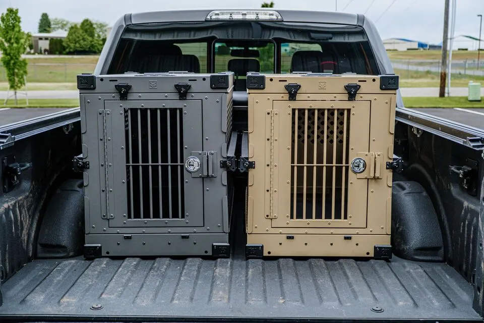Flying With Pets on a Private Jet Requires More Than a Carrier